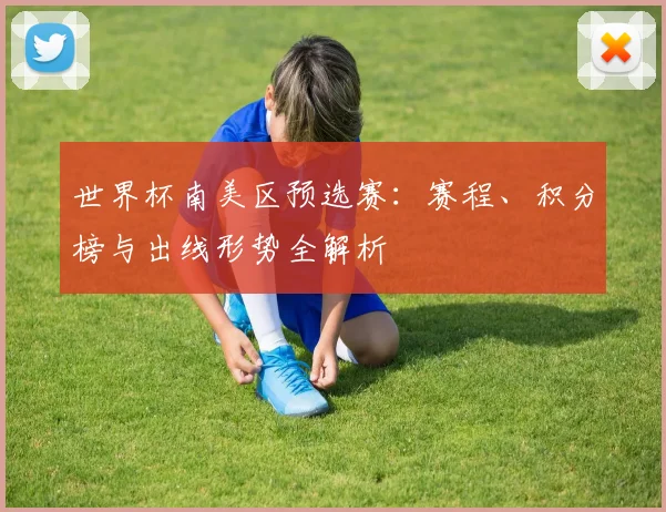 世界杯南美区预选赛:赛程、积分榜与出线形势全解析